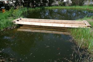 Brückenbau im Biotop