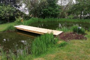 Brückenbau im Biotop