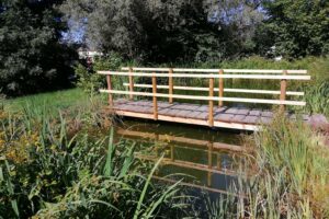 Brückenbau im Biotop