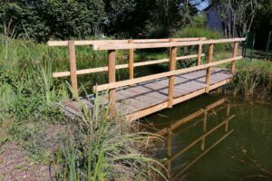 Brückenbau im Biotop