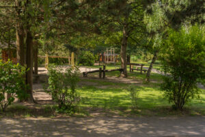 Grünes Pausengelände